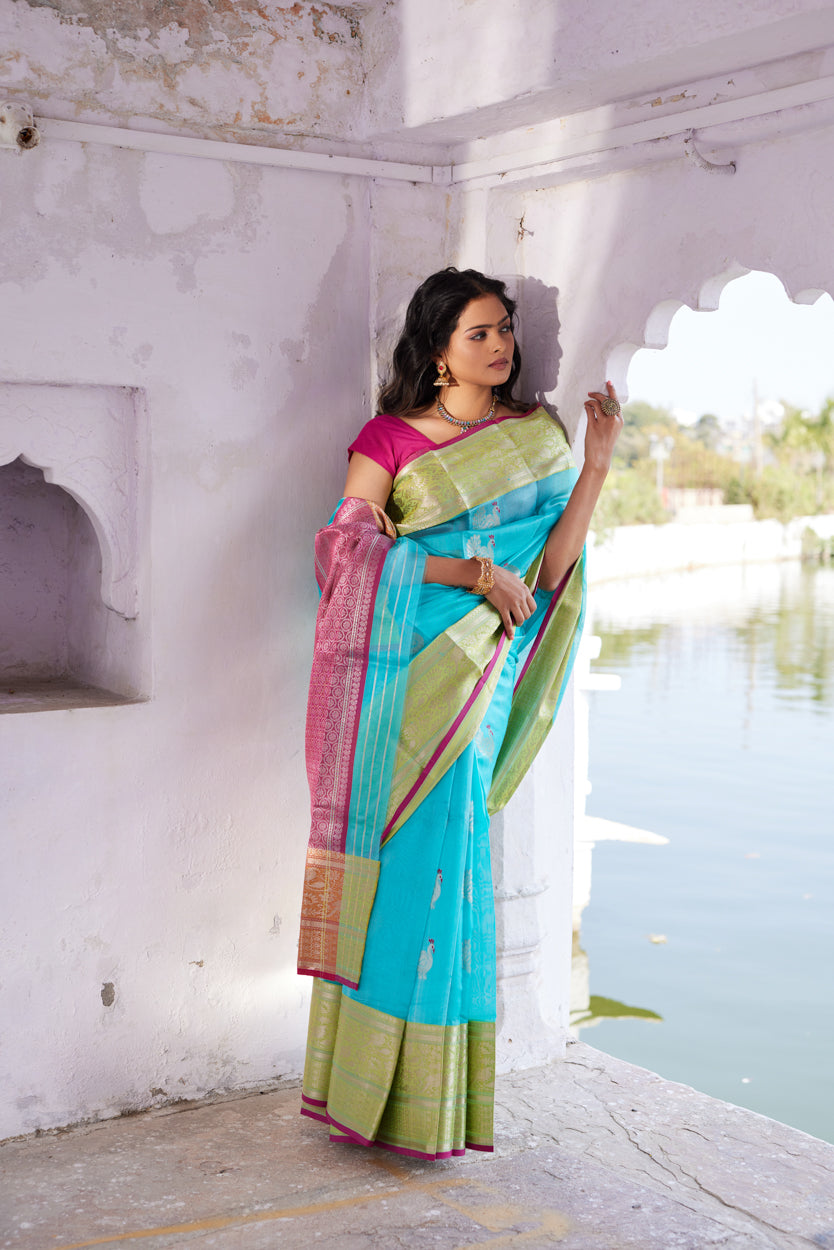 Neel Morni Pattu Silk Chanderi Saree
