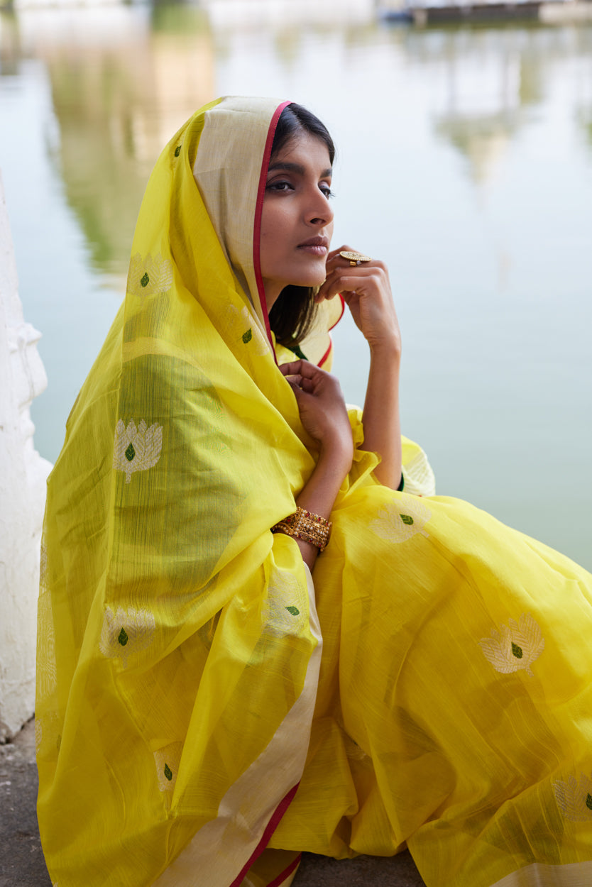 Zareen Cotton Silk Chanderi Saree