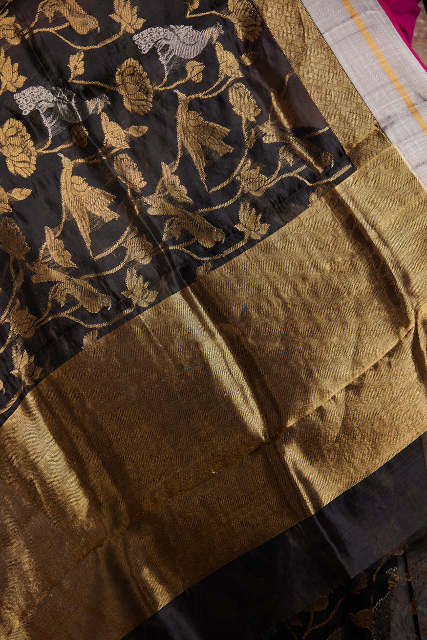 Saanjh Ki Sargam Pure Silk Chanderi Saree