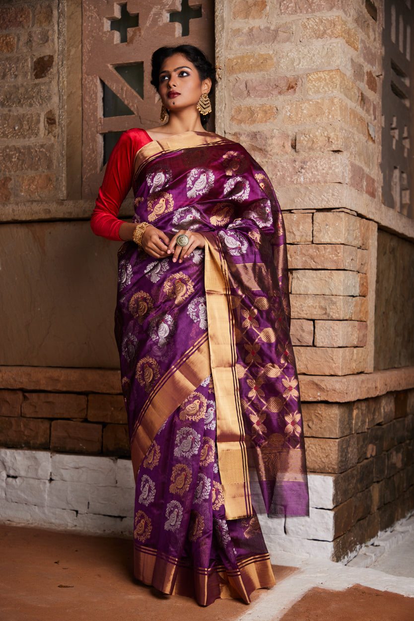 Patangini Pure Silk Chanderi Saree