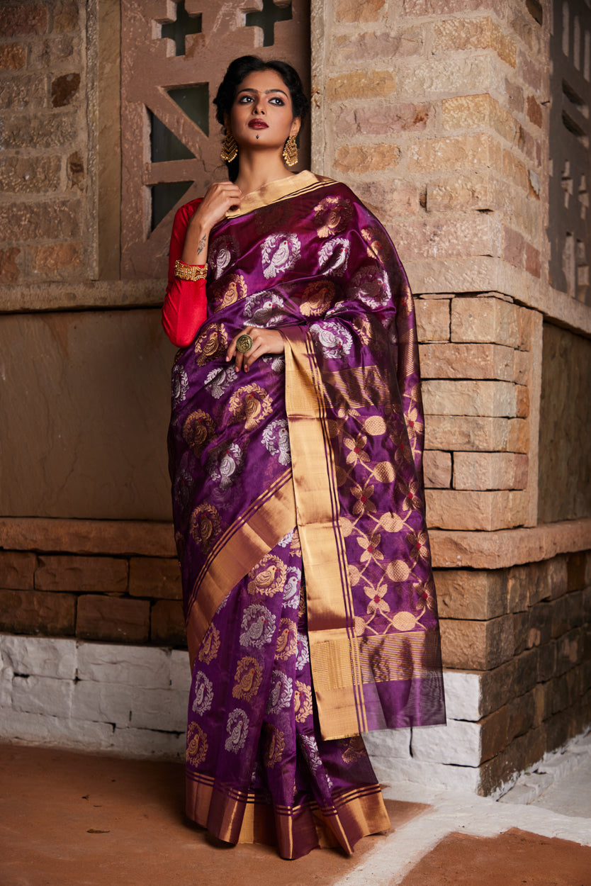 Patangini Pure Silk Chanderi Saree