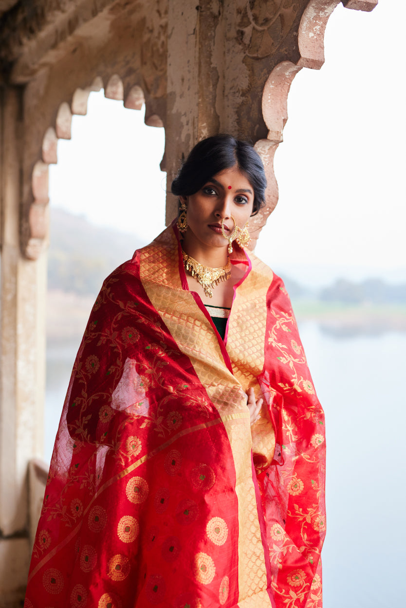 Rakt Pushp Pure Silk Chanderi Saree