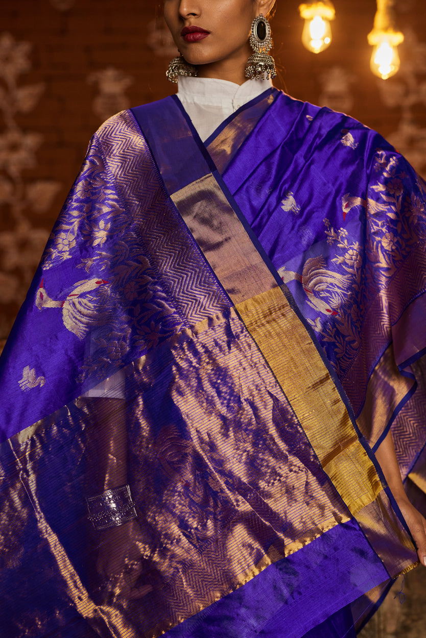 Shaba Afsana Kinar Jala Pure Silk Chanderi Saree