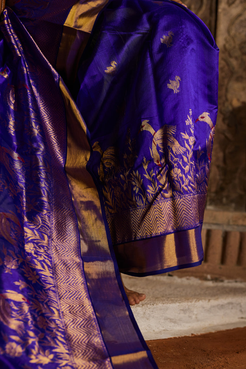 Shaba Afsana Kinar Jala Pure Silk Chanderi Saree