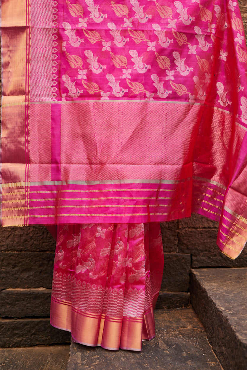 Gulabi Morni Pattu Silk Chanderi Saree