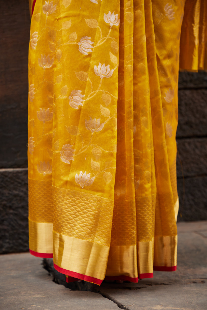 Zareen Noor Pattu Silk Chanderi Saree