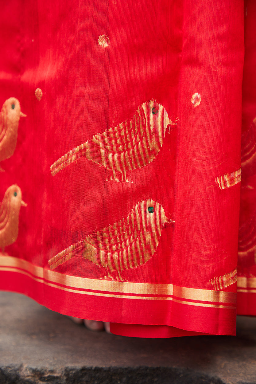 Surkh Parindey Pattu Silk Chanderi Saree