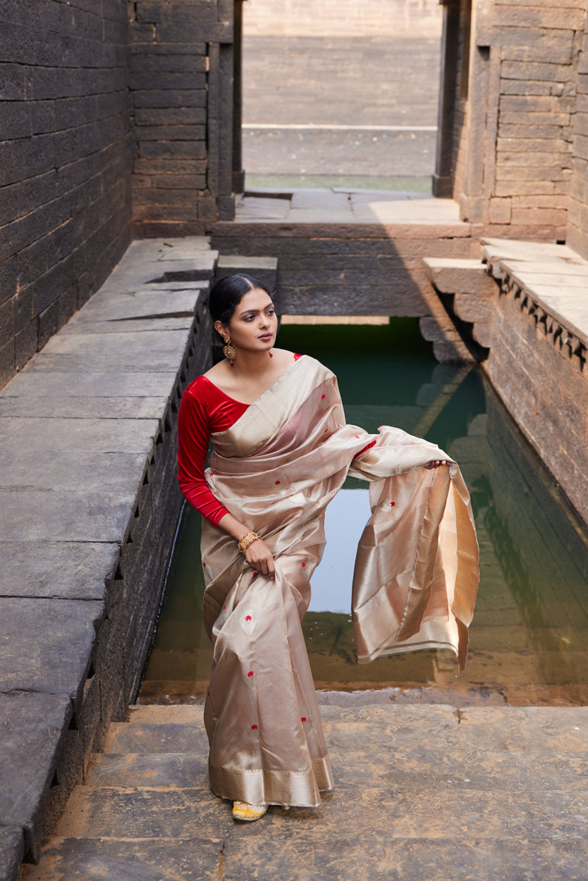 Noorani Adaa Pattu Silk Chanderi Saree
