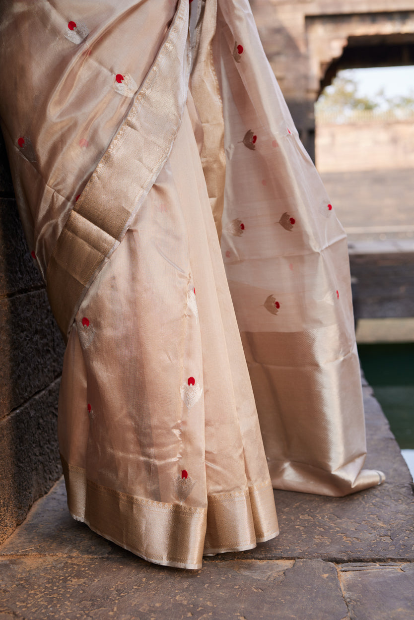 Noorani Adaa Pattu Silk Chanderi Saree