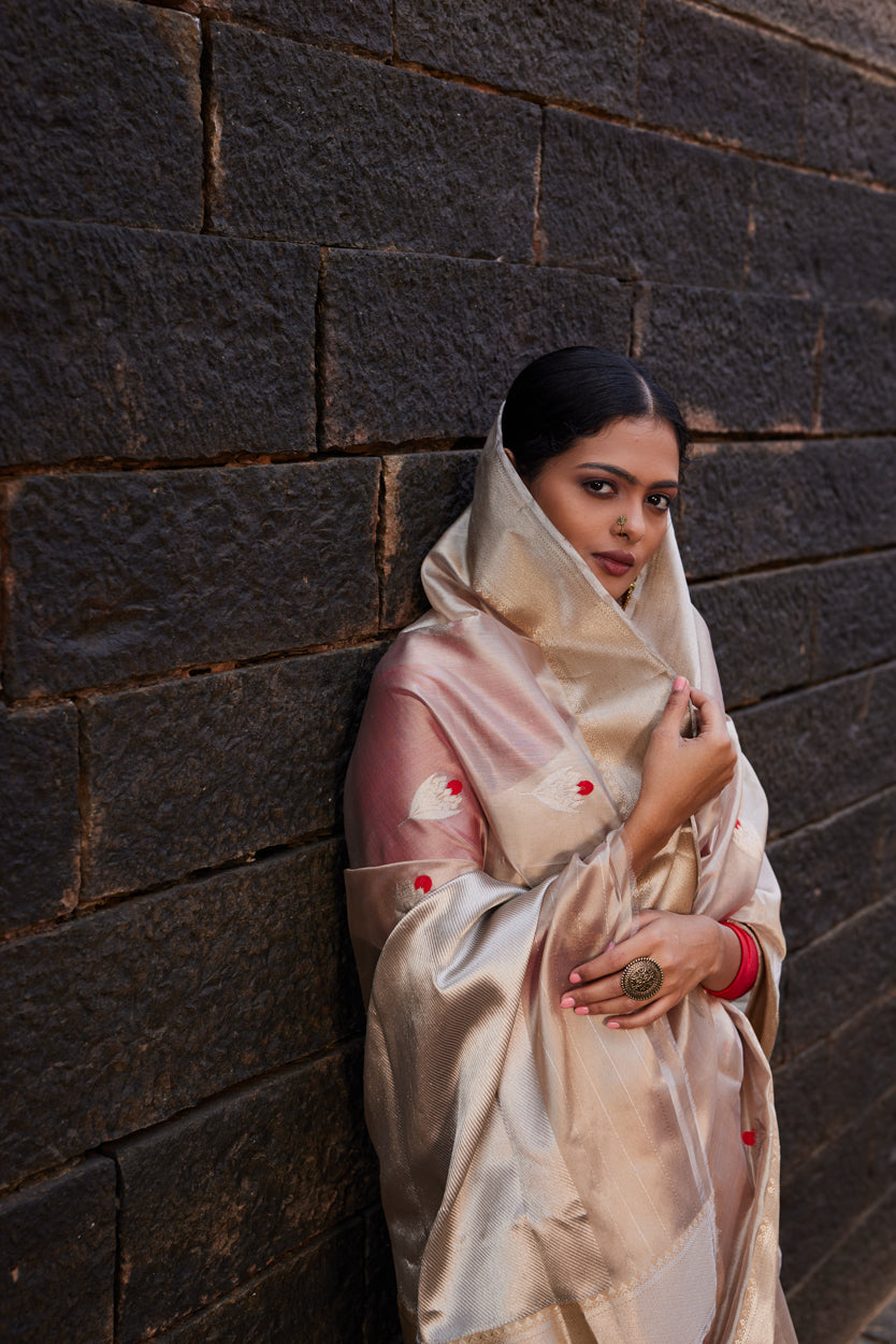 Noorani Adaa Pattu Silk Chanderi Saree