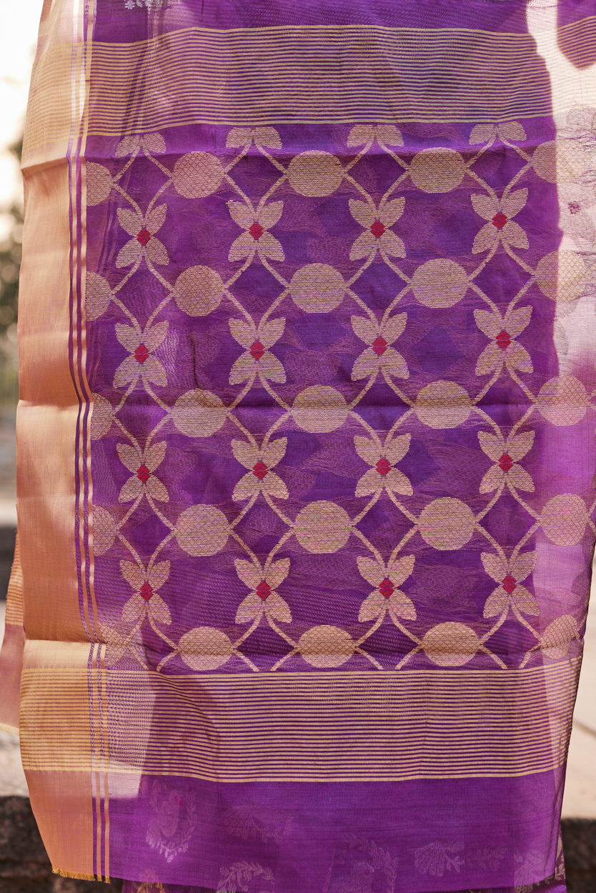 Shaam Shabnami Pattu Silk Chanderi Saree