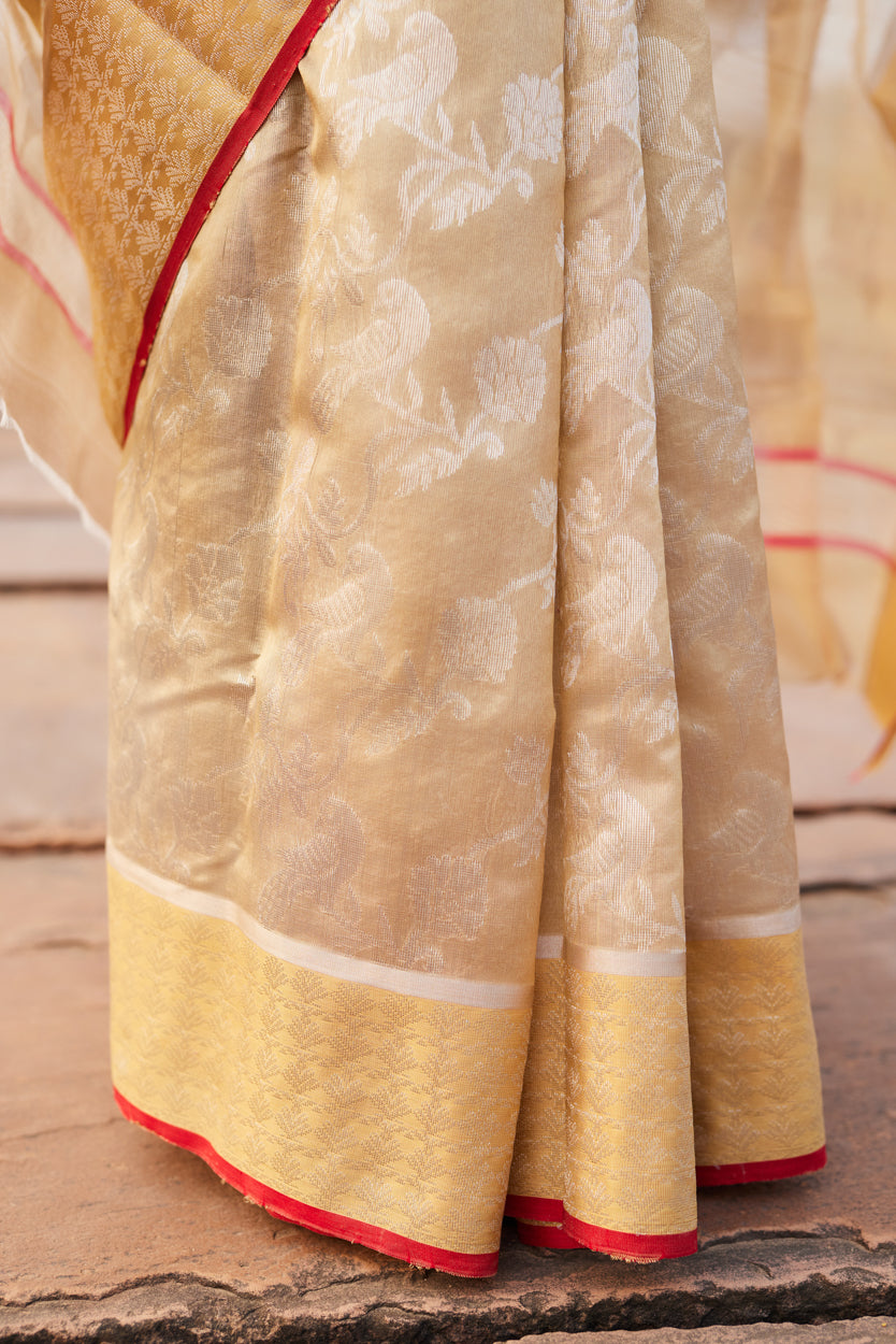 Gulbadan Shaam Pattu Silk Chanderi Saree