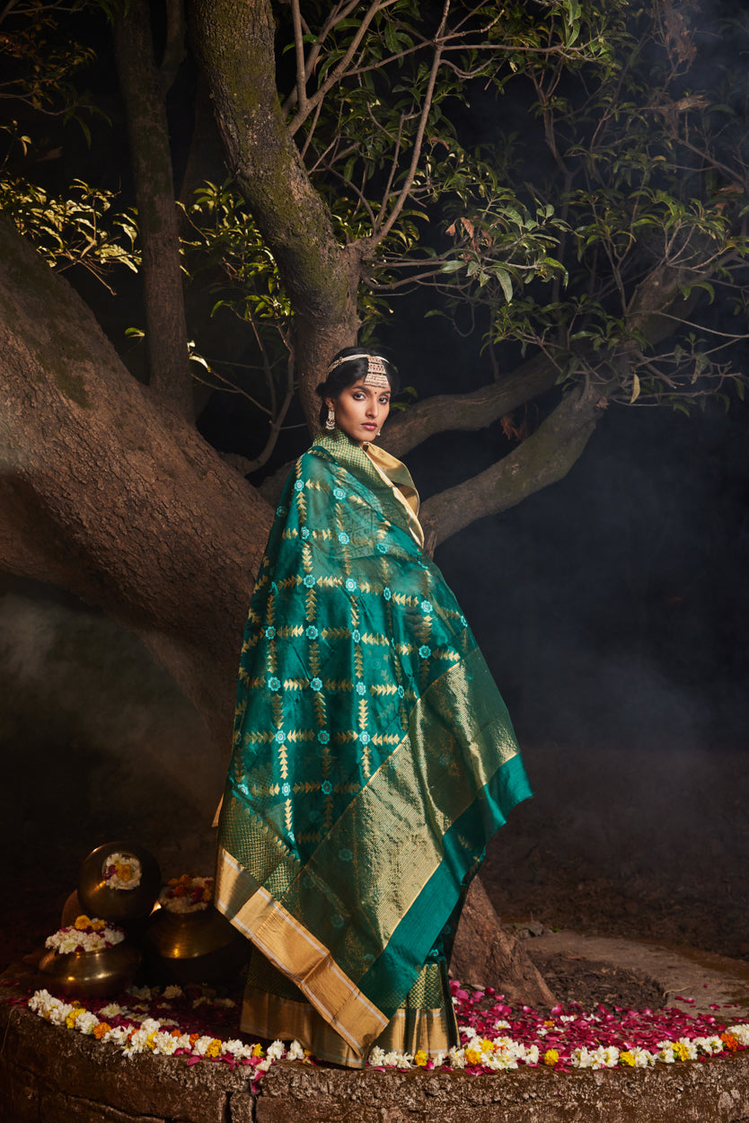 Mastani Saba Meena Kari Pure Silk Chanderi Saree