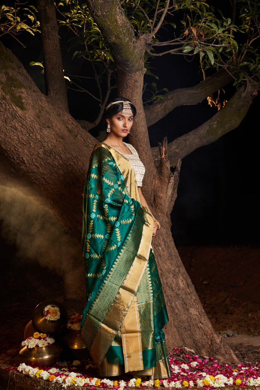 Mastani Saba Meena Kari Pure Silk Chanderi Saree