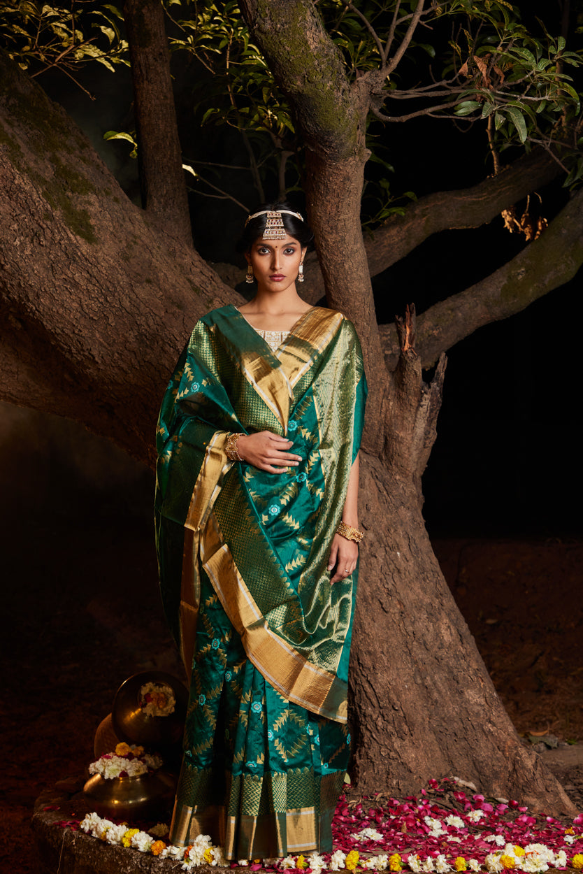 Mastani Saba Meena Kari Pure Silk Chanderi Saree