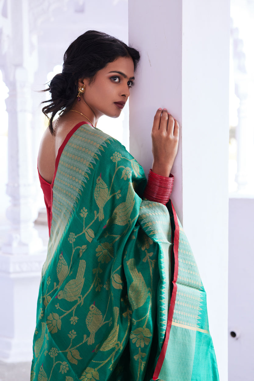 Shayrana Pattu Silk Chanderi Saree
