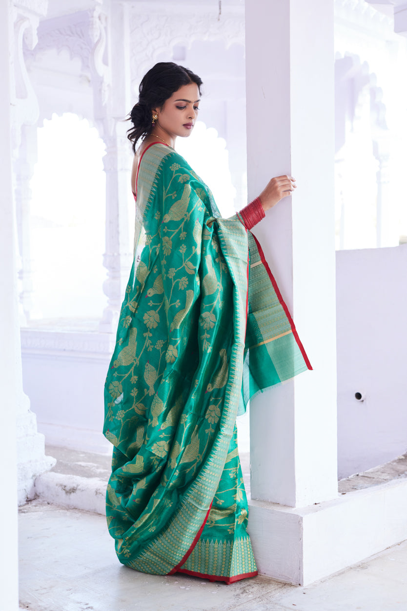 Shayrana Pattu Silk Chanderi Saree