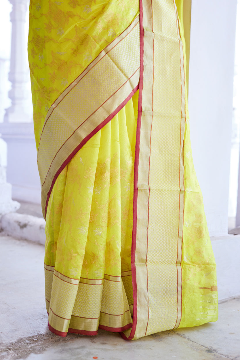 Surajmukhi Jaal Pattu Silk Chanderi Saree