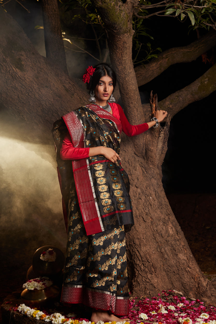 Siyah Noor Meenakari Jaal Pure Silk Chanderi Saree
