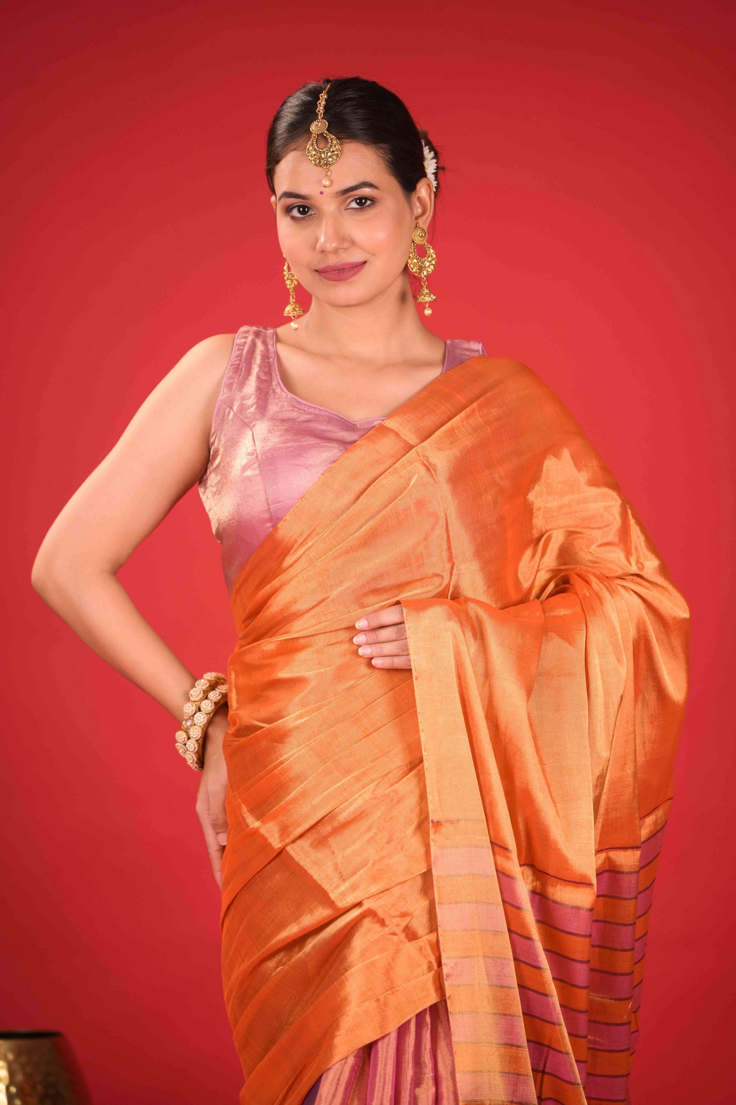Ranga Tarang Chanderi Tissue Saree