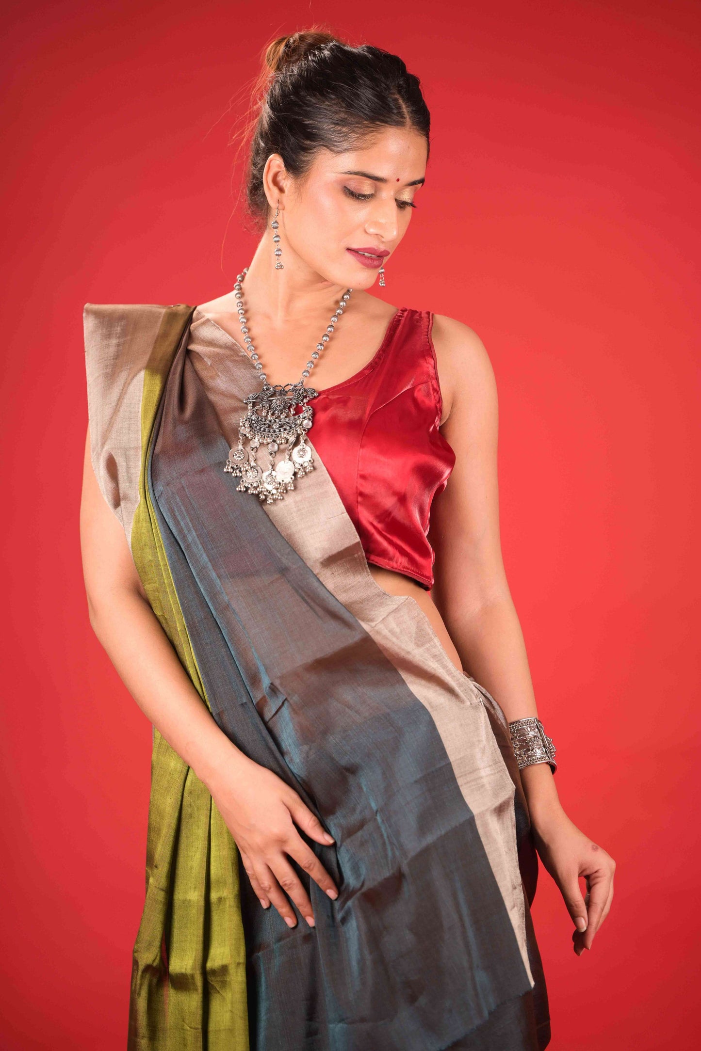Anandi Hema Dual Chanderi Tissue Saree