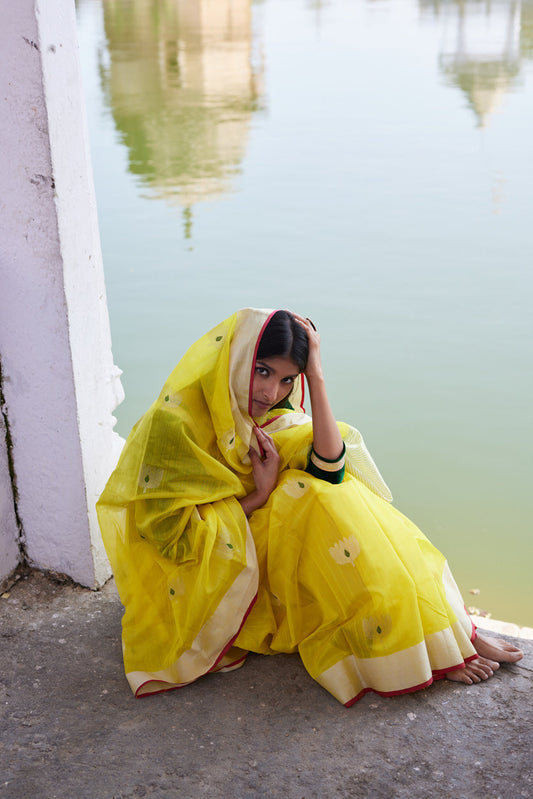 From Royal Courts to Mughal Closets: The Mughal Romance with Chanderi Weaves