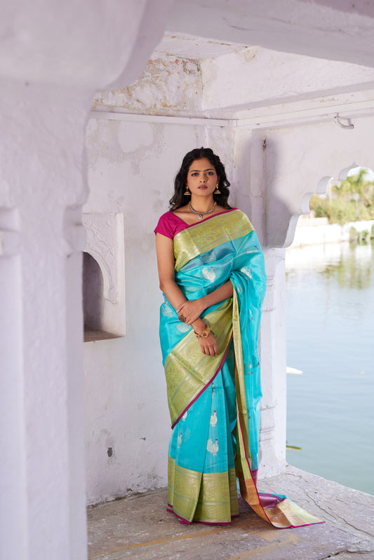 Neel Morni Pattu Silk Chanderi Saree