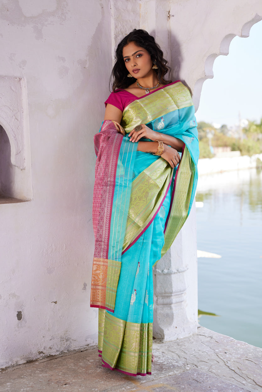 Neel Morni Pattu Silk Chanderi Saree