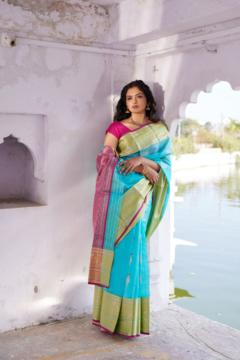 Neel Morni Pattu Silk Chanderi Saree