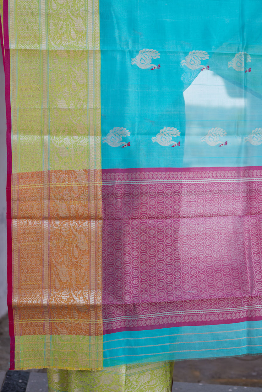 Neel Morni Pattu Silk Chanderi Saree