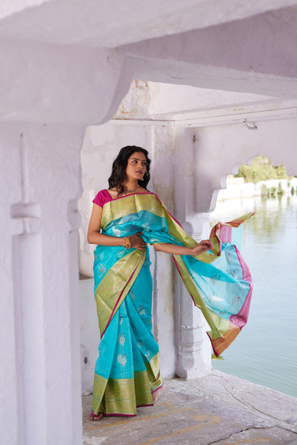 Neel Morni Pattu Silk Chanderi Saree