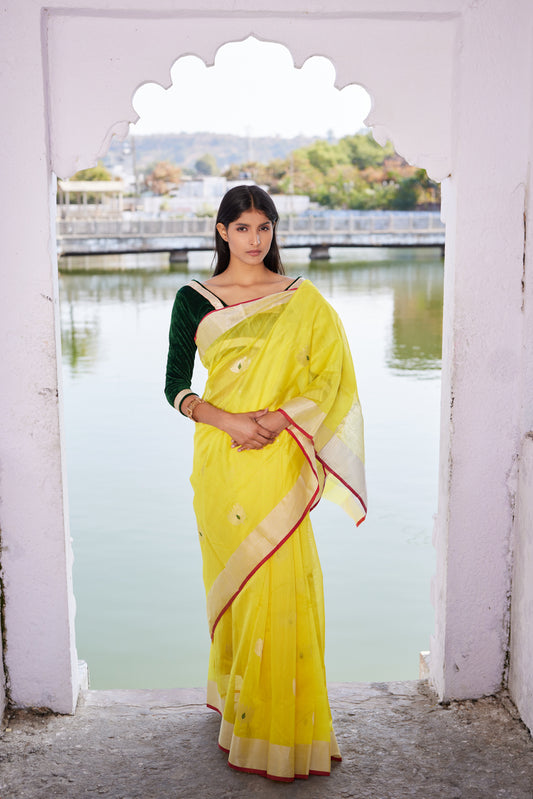 Zareen Cotton Silk Chanderi Saree