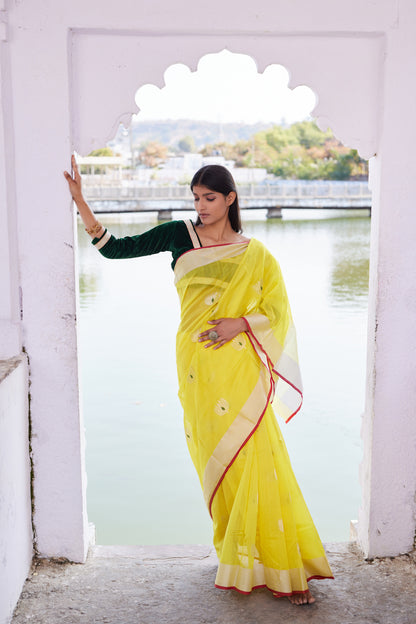 Zareen Cotton Silk Chanderi Saree