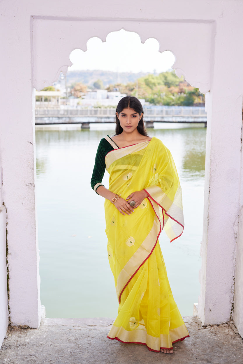 Zareen Cotton Silk Chanderi Saree