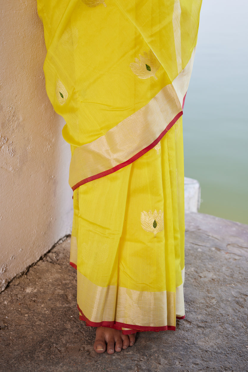 Zareen Cotton Silk Chanderi Saree