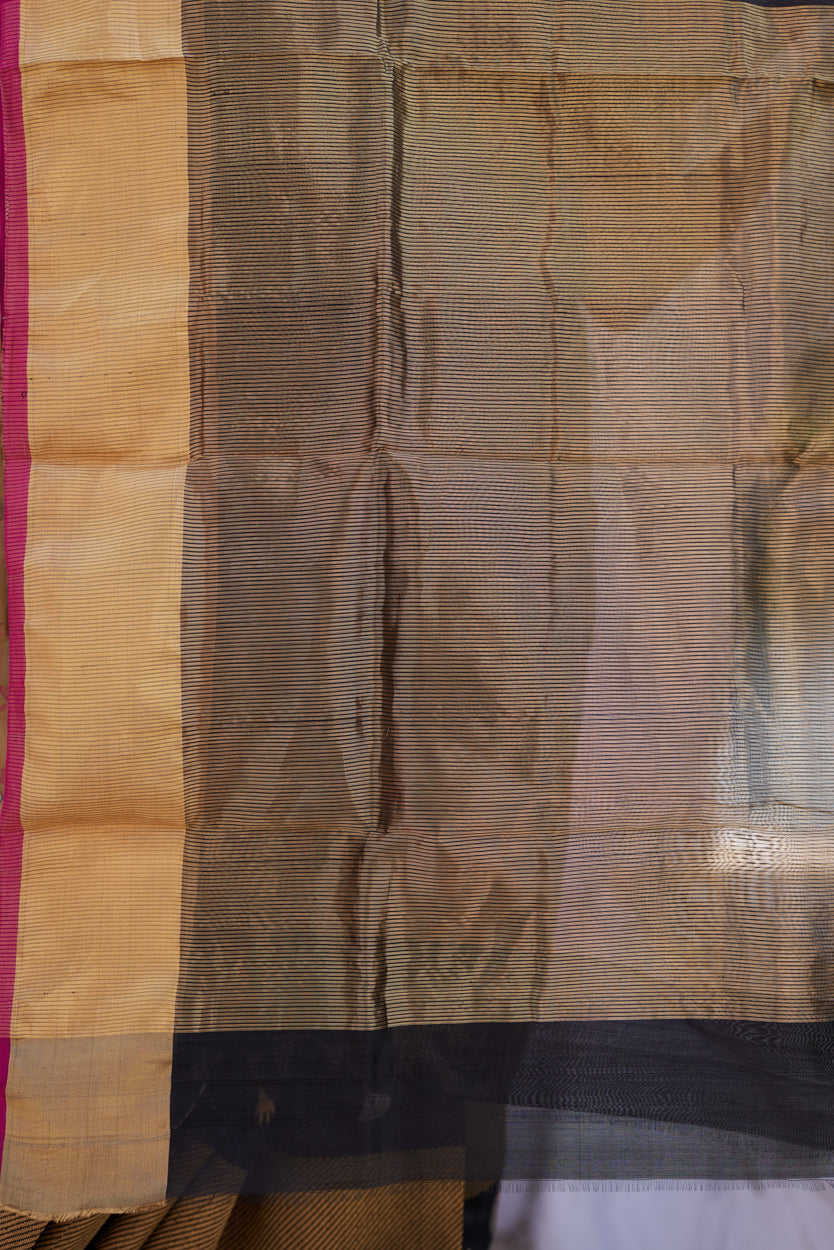 Siyahi Shringar Pattu Silk Chanderi Saree