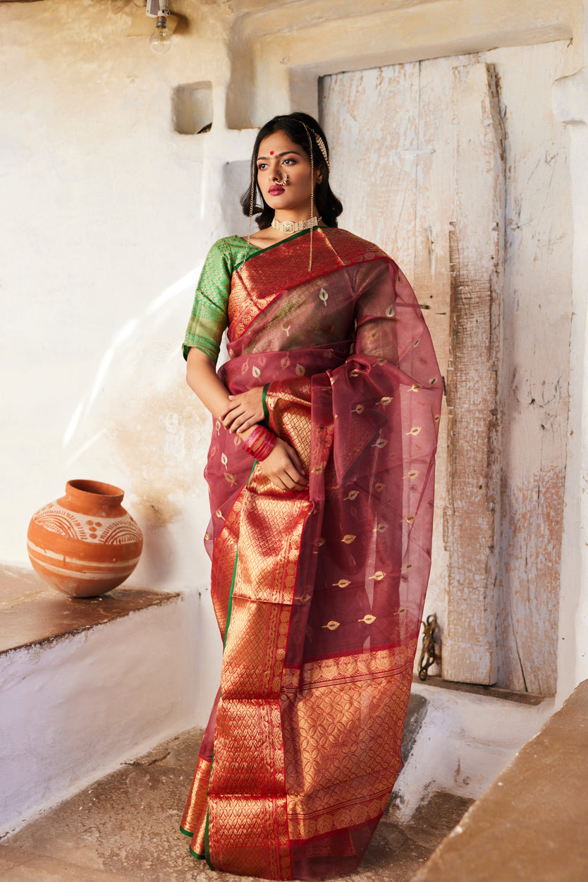Mrinalika Kattan Silk Chanderi Saree