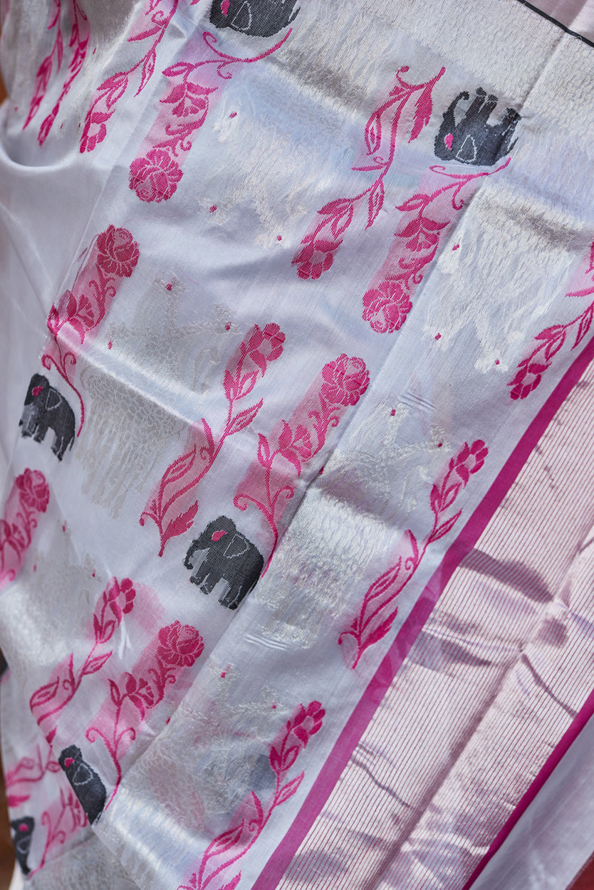 Ruhani Dhun Pattu Silk Chanderi Saree