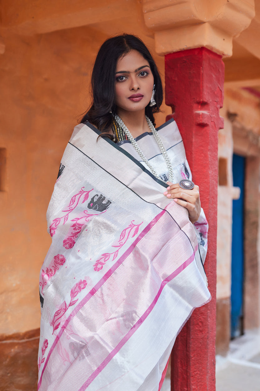 Ruhani Dhun Pattu Silk Chanderi Saree