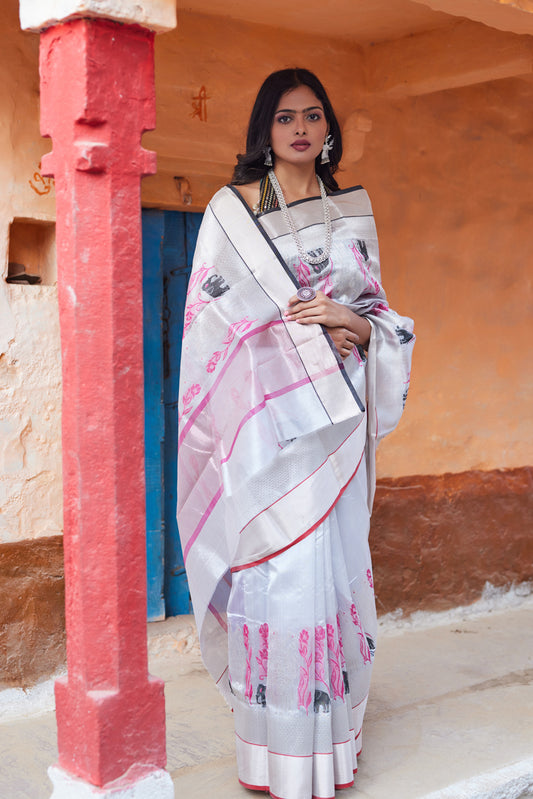 Ruhani Dhun Pattu Silk Chanderi Saree