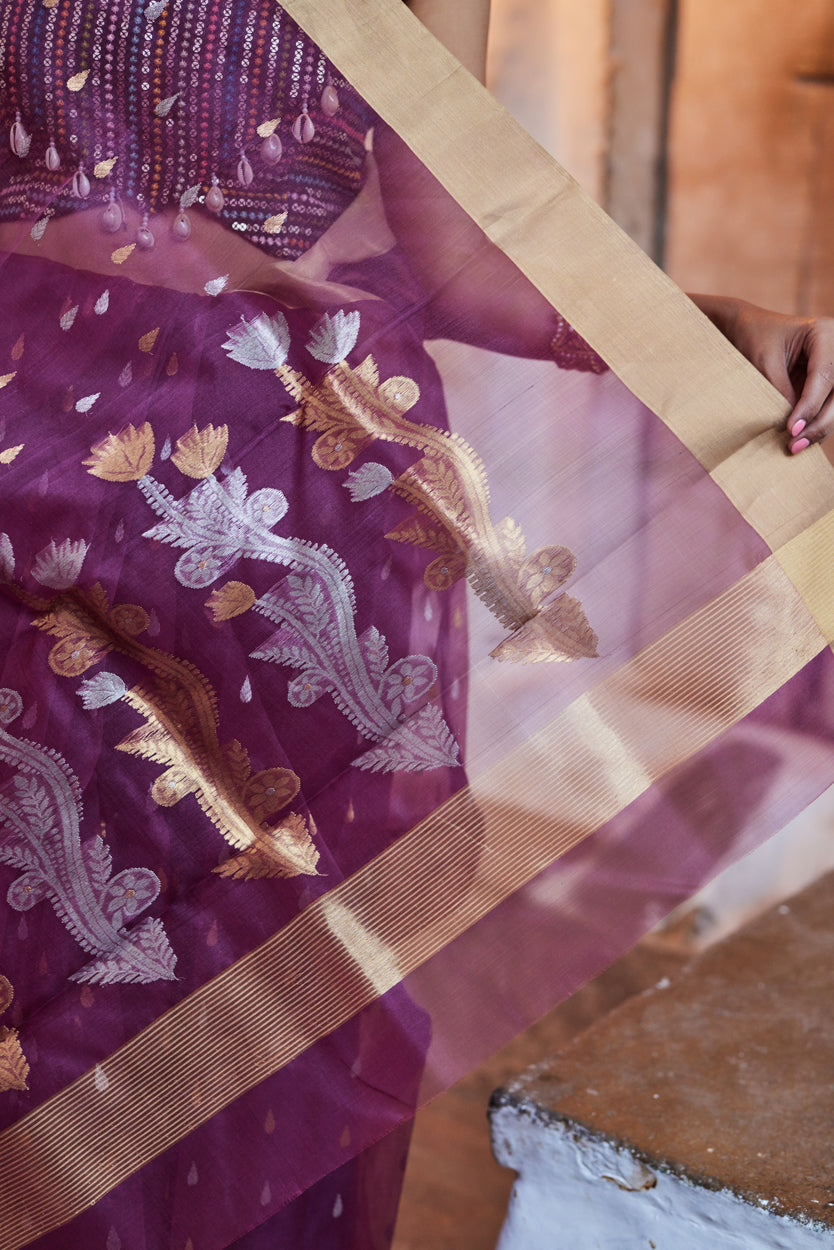 Kala Rasa Kattan Silk Chanderi Saree