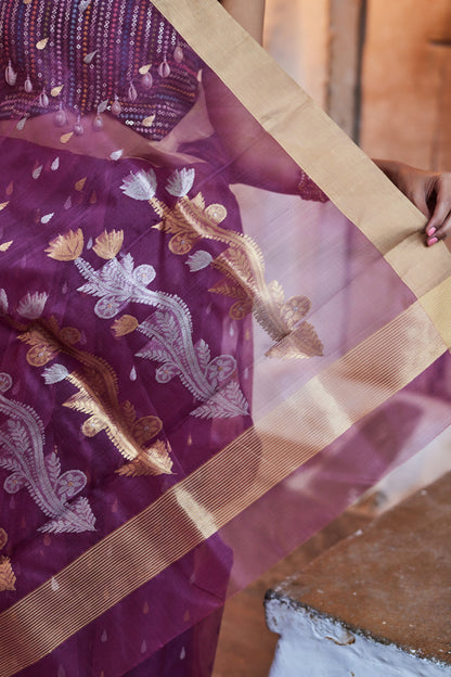 Kala Rasa Kattan Silk Chanderi Saree