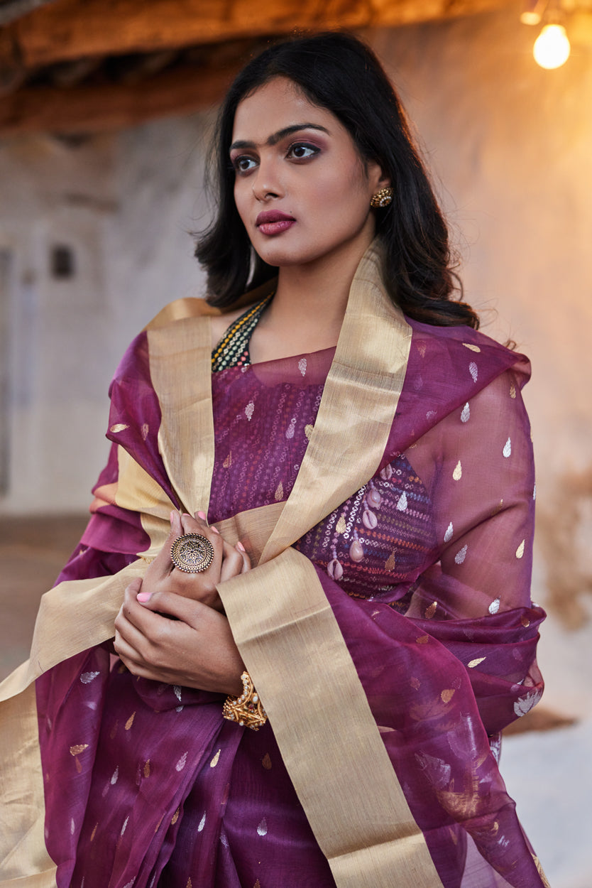 Kala Rasa Kattan Silk Chanderi Saree