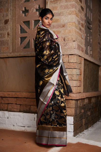 Saanjh Ki Sargam Pure Silk Chanderi Saree