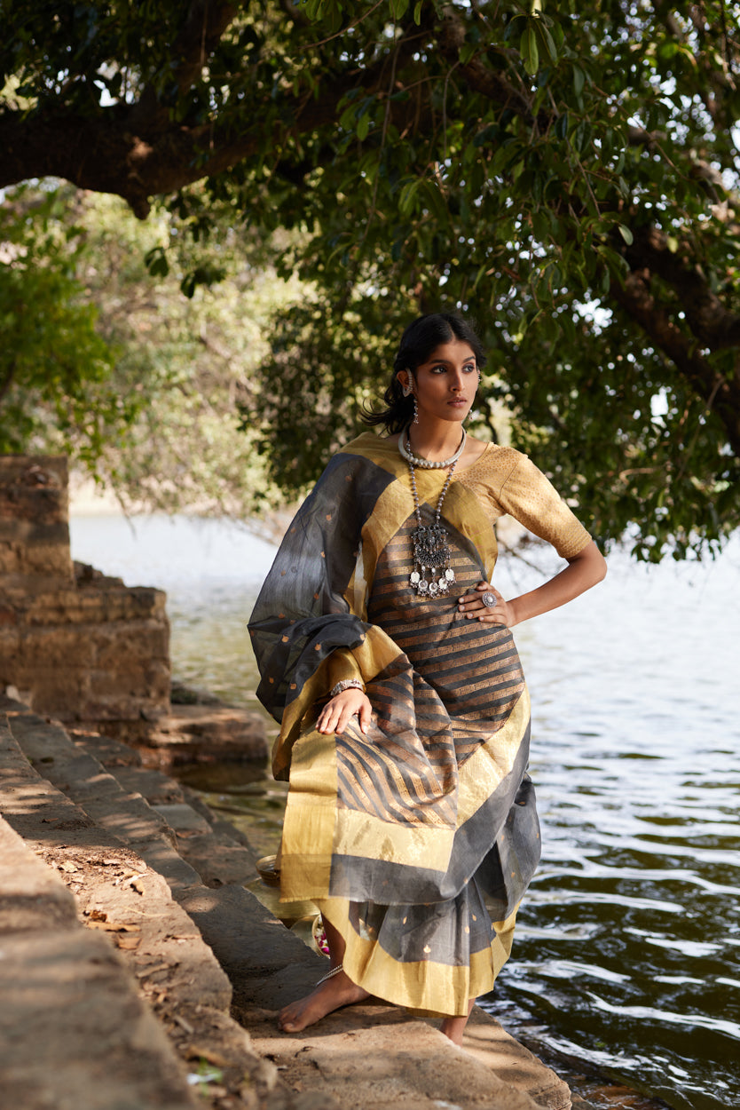 Nurani Neer Cotton Silk Chanderi Saree