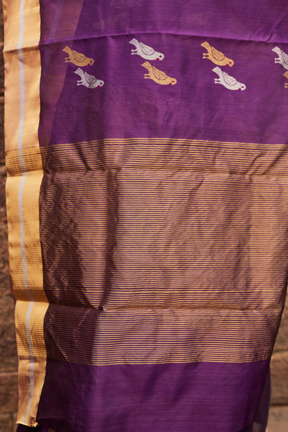 Tota Maina Raag Pattu Silk Chanderi Saree
