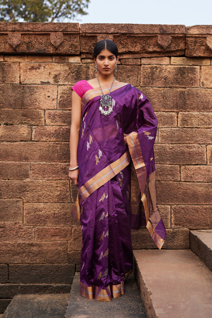 Tota Maina Raag Pattu Silk Chanderi Saree