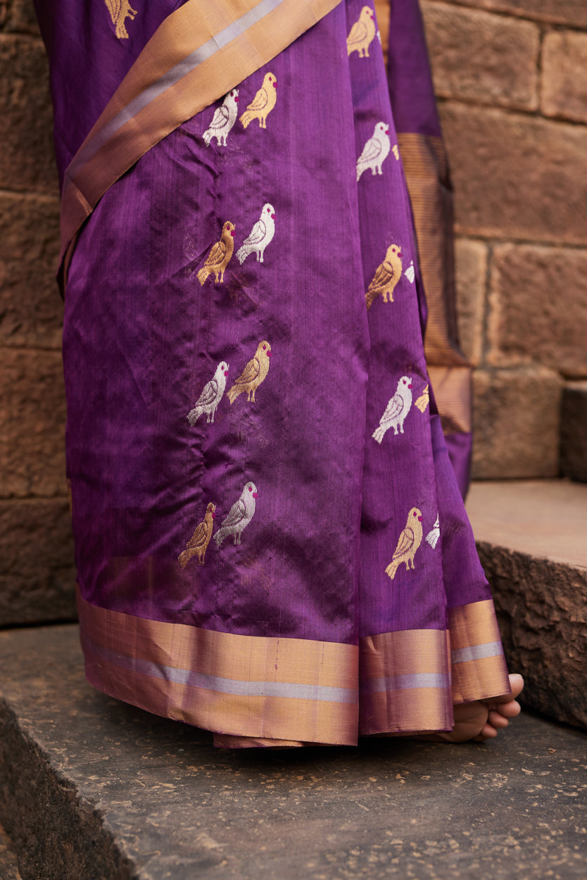Tota Maina Raag Pattu Silk Chanderi Saree