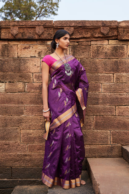 Tota Maina Raag Pattu Silk Chanderi Saree