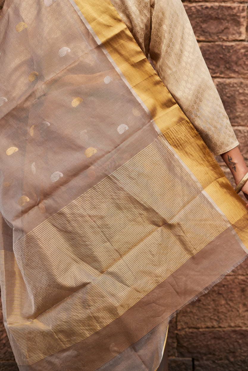 Aamprapali Cotton Silk Chanderi Saree